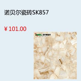 泰安廣陶瓷磚
