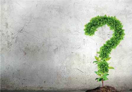 泰安楓盛裝飾小編告訴您家中綠植該怎么選擇？